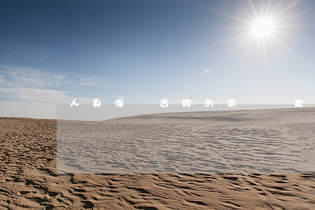 人身保險合同的常見條款