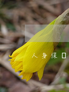 人身保險適用補償原則是什么意思
