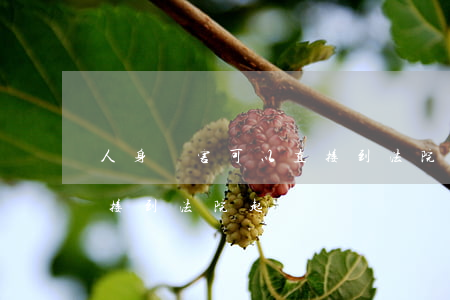人身傷害可以直接到法院起訴嗎(個人可以直接到法院起訴嗎)