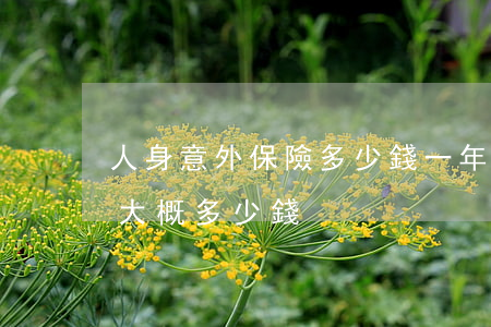 人身意外保險多少錢一年(人身意外保險一年大概多少錢)