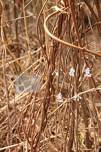 人身意外險(xiǎn)包括哪些意外(人身意外險(xiǎn)包括哪些意外才能買得不虧)