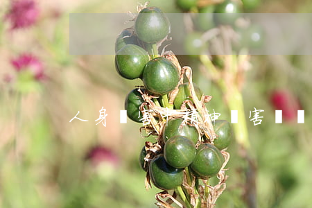 人身損害中精神損害賠償計算標準是什么