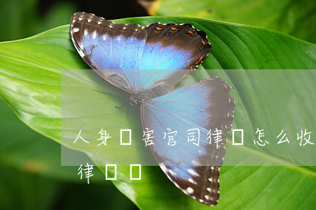 人身損害官司律師怎么收費(人身損害原告的律師費)