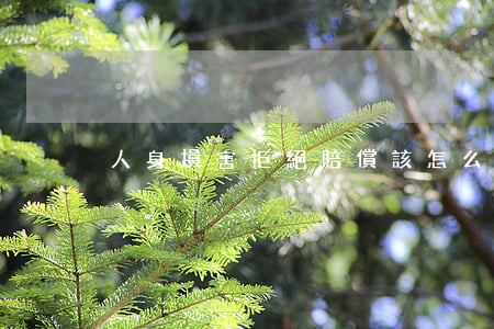 人身損害拒絕賠償該怎么辦