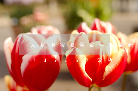 人身損害賠償案件的最新司法解釋適用要點(diǎn)分析