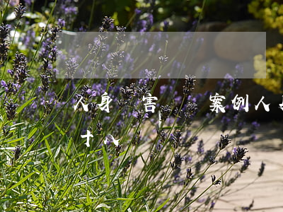 人身損害賠償案例(人身損害賠償案例解釋第十八條)