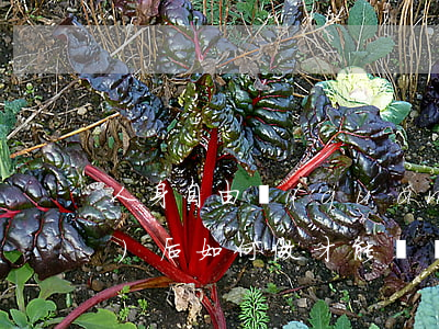 人身自由權(quán)被侵權(quán)后如何做才能維權(quán)
