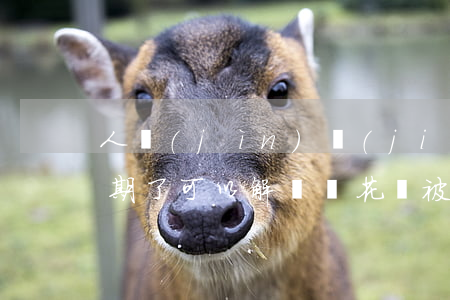 人進(jìn)監(jiān)獄了花唄逾期了可以解凍嗎(花唄被凍結(jié)多久可以解除)