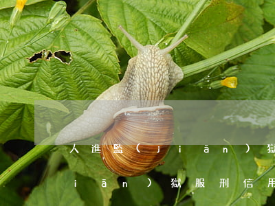 人進監(jiān)獄信用卡逾期(在監(jiān)獄服刑信用卡逾期怎么辦)