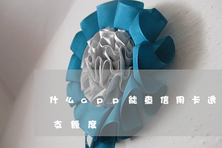 什么app能查信用卡透支(怎么看信用卡透支额度)