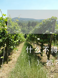 什么不得同憲法相抵觸(一切法律法規(guī)都不得同憲法相抵觸)