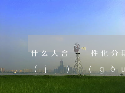 什么人合適個性化分期-個性化分期什么機(jī)構(gòu)可以幫忙申請