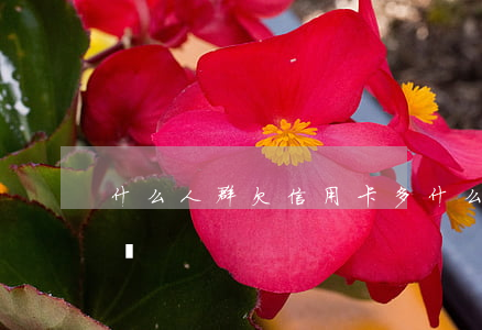 什么人群欠信用卡多(什么人群欠信用卡多一點)