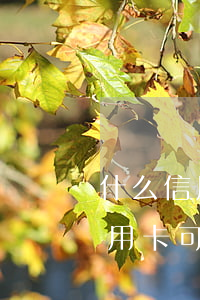 什么信用卡可以分期24個月免息-什么信用卡可以分期24個月免息的