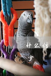 什么信用卡可以超限透支(信用卡允許透支多少)