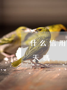什么信用卡可以逾期一天(信用卡可以逾期一天嗎)