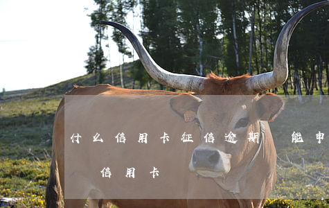 什么信用卡征信逾期還能申請 征信逾期了能辦信用卡嗎
