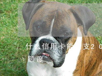 什么信用卡能透支20w(什么信用卡能透支額度)