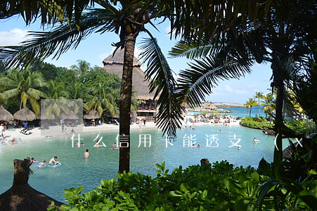 什么信用卡能透支現(xiàn)金嗎