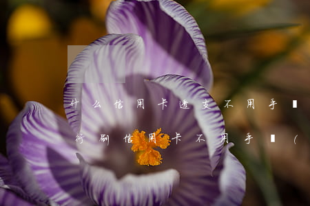 什么信用卡透支不用手續(xù)費(什么銀行刷信用卡不用手續(xù)費)