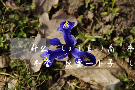 什么協(xié)商還本金(協(xié)商本金還款要一下子結(jié)清嗎)