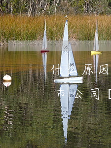 什么原因會(huì)產(chǎn)生上市公司財(cái)務(wù)欺詐