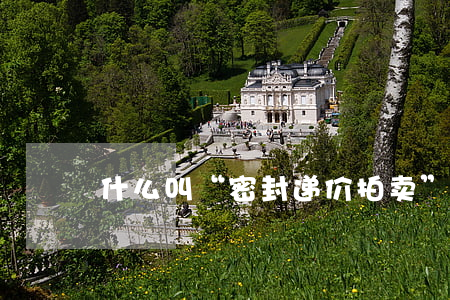 什么叫“密封递价拍卖”