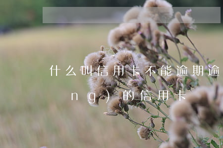 什么叫信用卡不能逾期(逾期也可以申請(qǐng)的信用卡)