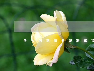 什么叫信用卡逾期三次（信用卡单笔逾期三次）