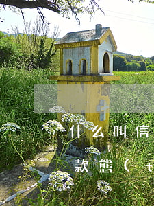 什么叫信用卡逾期了（信用卡逾期怎么表明還款態(tài)度）