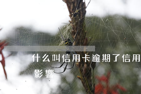 什么叫信用卡逾期了（信用卡逾期會造成什么影響）