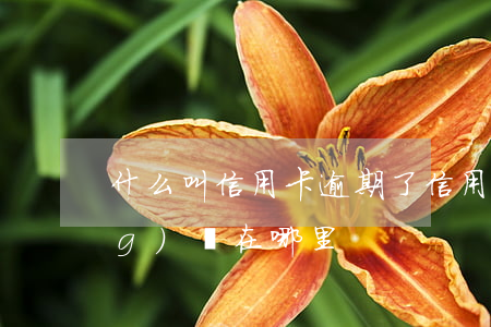 什么叫信用卡逾期了（信用卡逾期風(fēng)險在哪里）