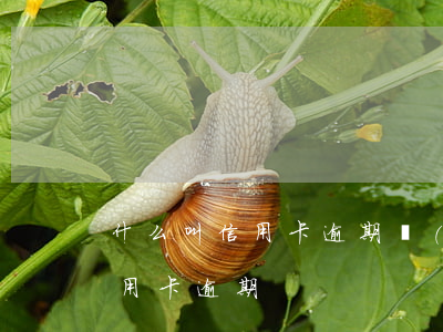 什么叫信用卡逾期嚴(yán)重（生大病信用卡逾期）