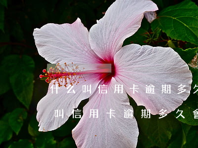 什么叫信用卡逾期多久會上征信黑名單（什么叫信用卡逾期多久會上征信）