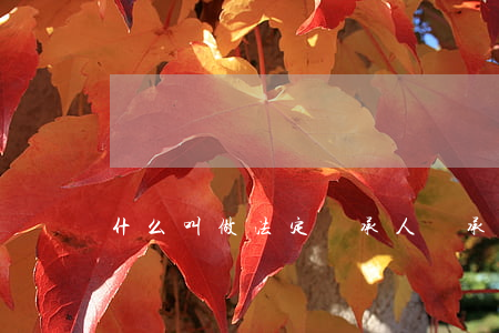 什么叫做法定繼承人(繼承法的法定繼承人)