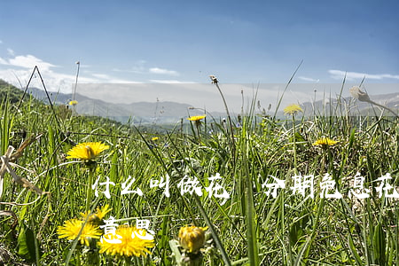 什么叫做花唄分期免息 花唄分期免息是什么意思?