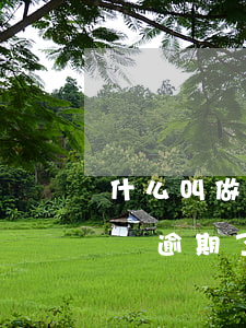 什么叫做逾期對(duì)賬(對(duì)賬逾期了怎么辦)