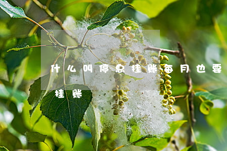 什么叫停息挂账每月也要还款吗（什么叫停息挂账）