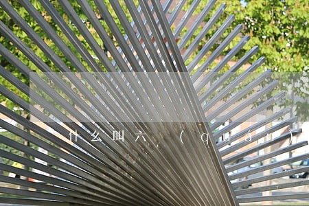 什么叫六權(quán)法律(六法是哪六法)