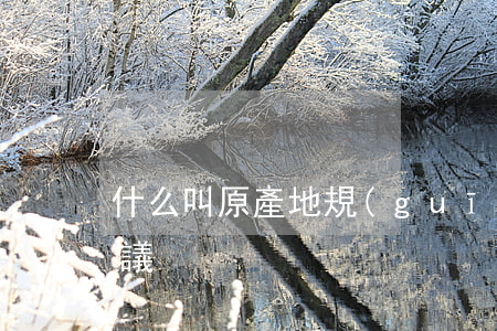 什么叫原產地規(guī)則協(xié)議