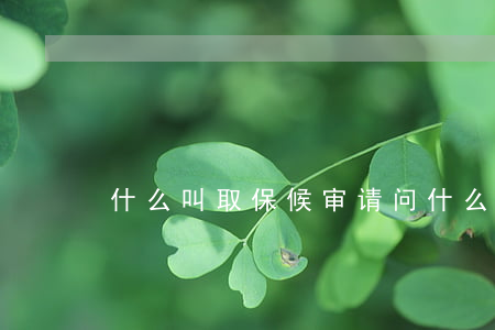 什么叫取保候审(请问什么叫取保候审)