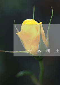 什么叫土地承包經營權和使用權