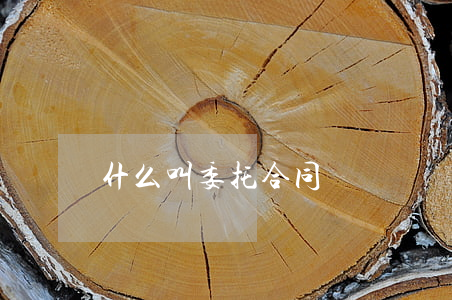什么叫委托合同糾紛