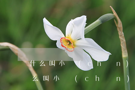 什么叫小產(chǎn)權(quán)，什么叫小產(chǎn)權(quán)房什么又是大產(chǎn)權(quán)房