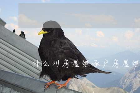 什么叫房屋继承户(房屋继承是按户口簿吗)