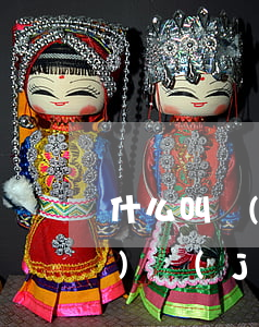 什么叫會(huì)計(jì)(會(huì)計(jì)翻譯)