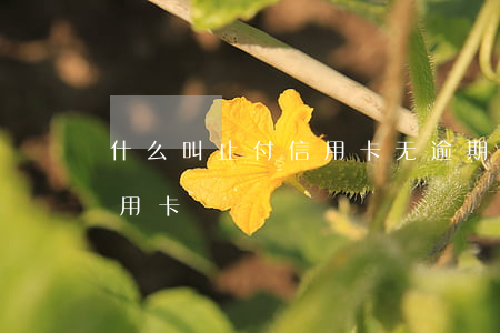 什么叫止付信用卡（无逾期处于止付状态的信用卡）