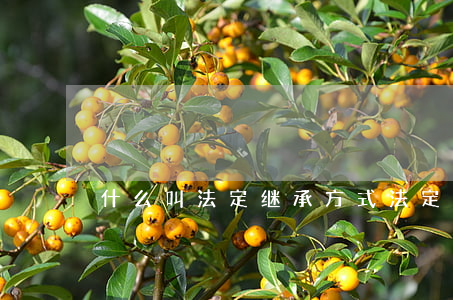 什么叫法定继承方式(法定继承的适用范围)