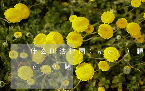 什么叫法律問(wèn)題(法律上的問(wèn)題)