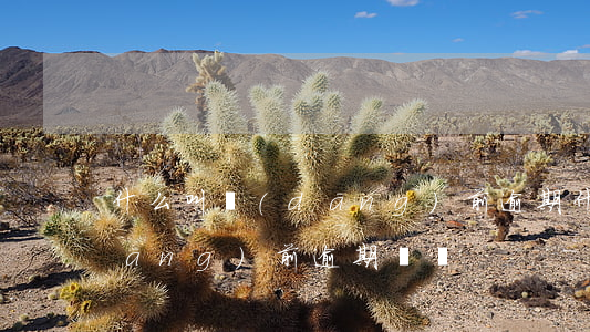什么叫當(dāng)前逾期(什么叫當(dāng)前逾期記錄)